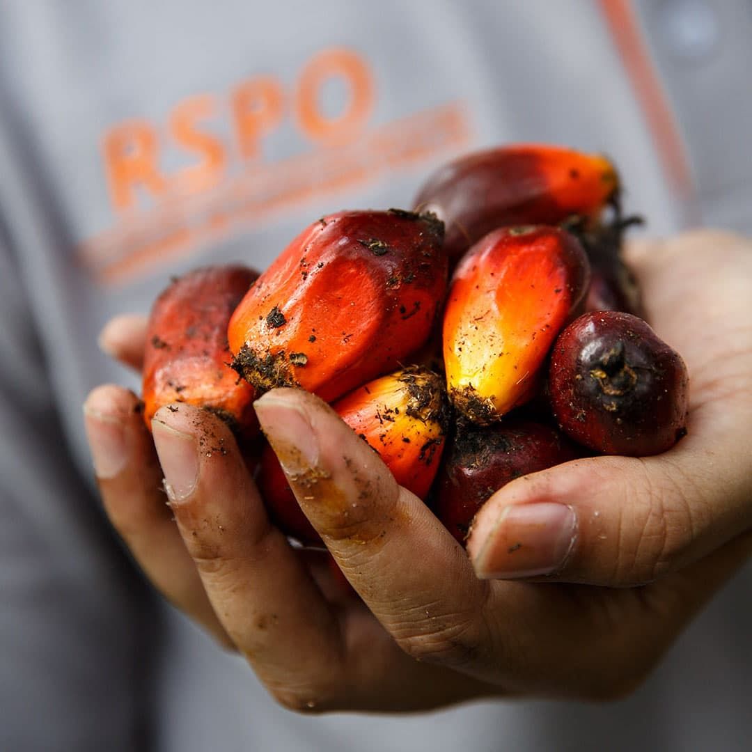 Design Plus are RSPO Certified 